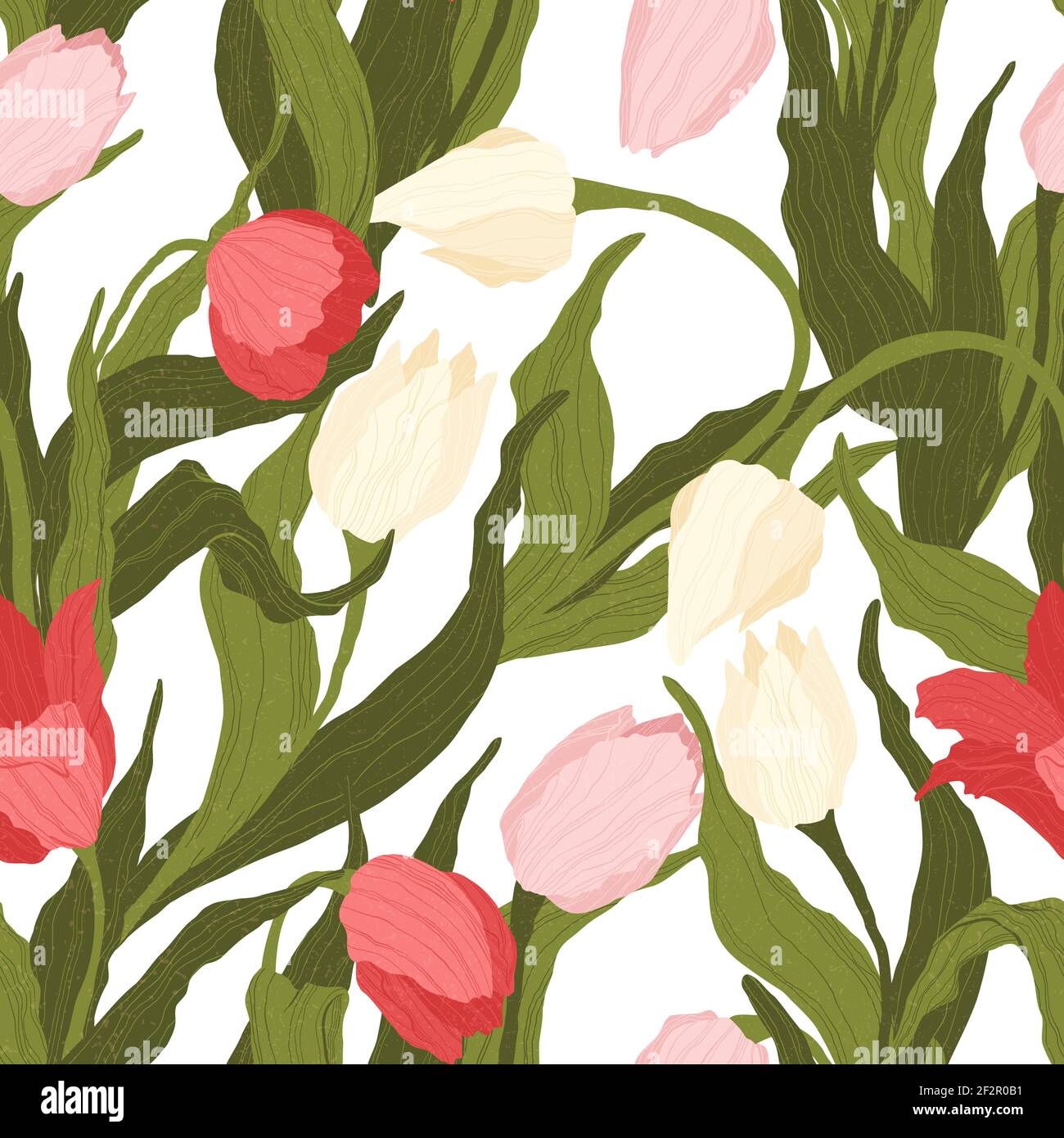 Motif sans couture de fleurs de tulipe roses, rouges et blanches sur fond blanc. Illustration vectorielle. Idéal pour l'emballage, le textile ou l'impression. Symbole de Illustration de Vecteur