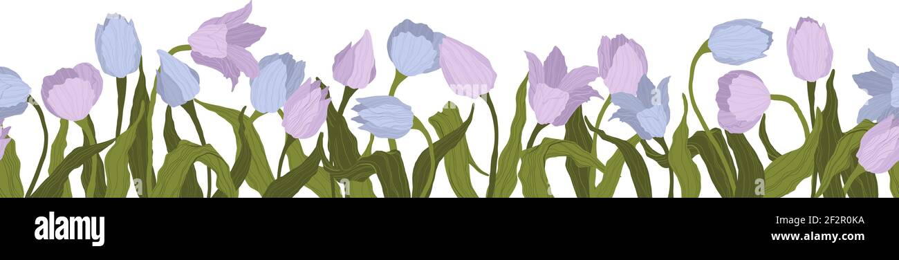 Bordure sans couture des fleurs de tulipes. Illustration vectorielle, arrière-plan, motif, impression pour papier d'emballage, cartes postales, textiles. Cadre avec tulipe colorée Illustration de Vecteur