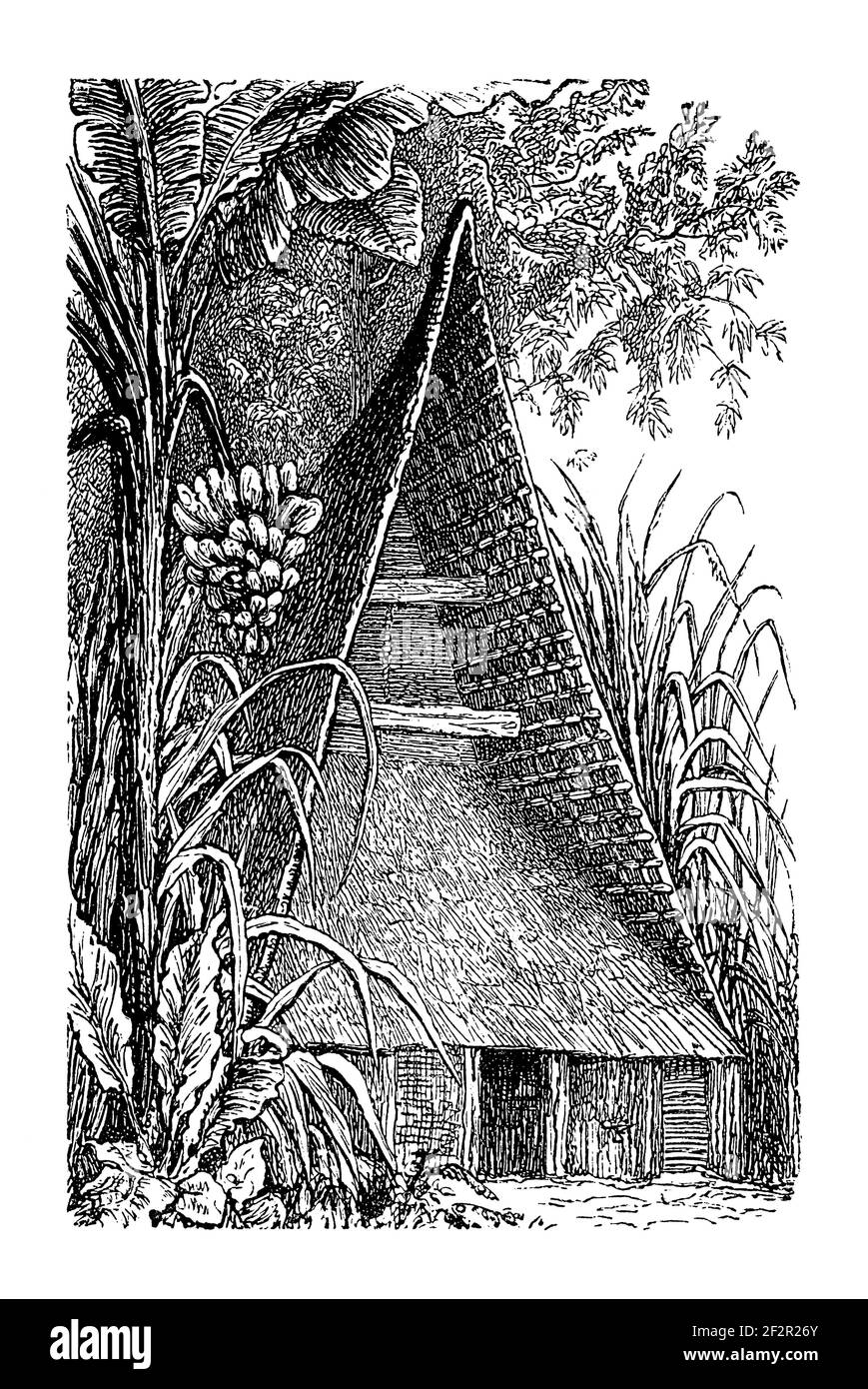 Ancienne illustration du XIXe siècle de la maison sur les îles Caroline. Gravure publiée dans Systematischer Bilder-Atlas zum conversations-Lexikon, Ikonogra Banque D'Images