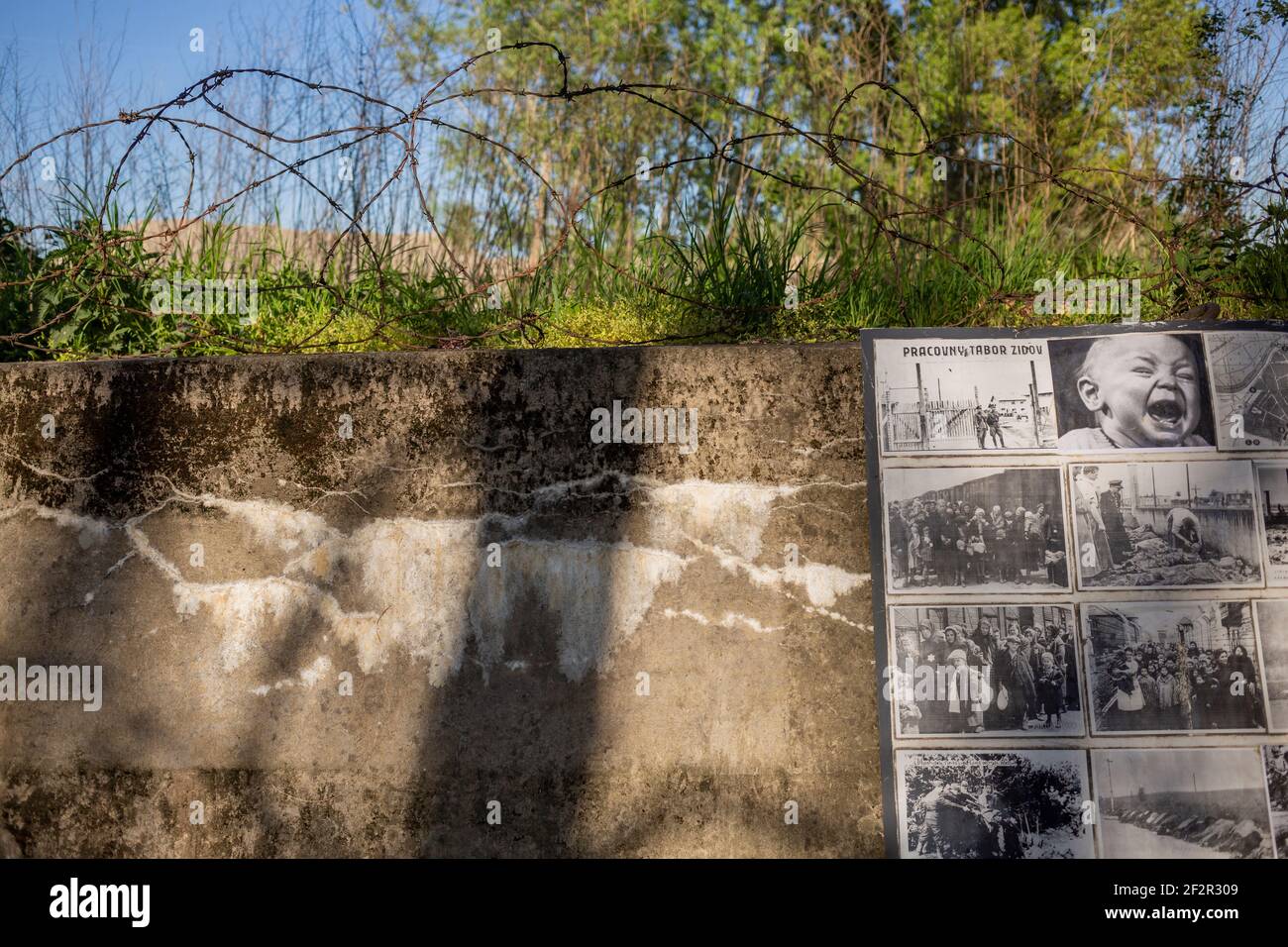 Détail d'une exposition photographique historique dans une tranchée antichar de la Seconde Guerre mondiale, Petrzalka, Bratislava, Slovaquie, près des frontières avec l'Autriche. Banque D'Images