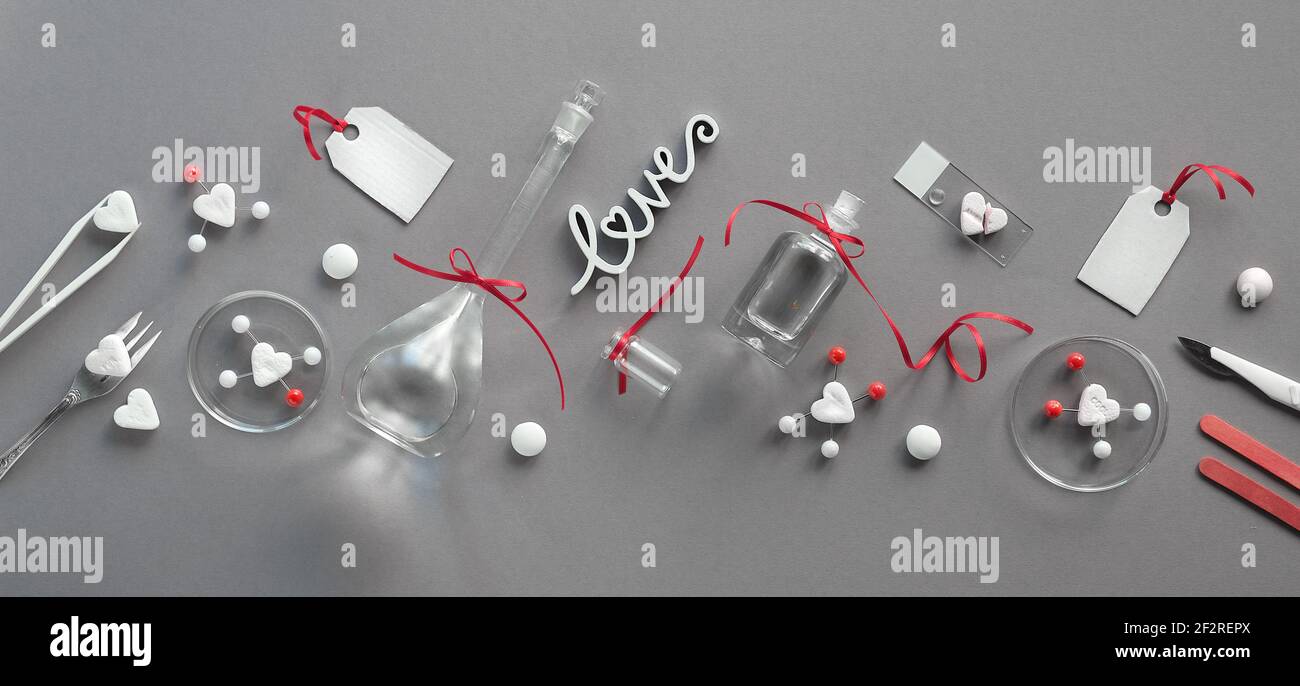 Chimie de l'amour. Mise à plat créative sur papier gris. Vue de dessus avec verrerie chimique, plats de pétri, molécules d'amour, coeurs de sucre, ciseaux, pinces Banque D'Images