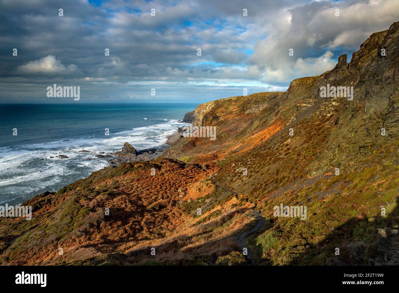 Falaises étrangle ; l'hiver, Cornwall, UK Banque D'Images