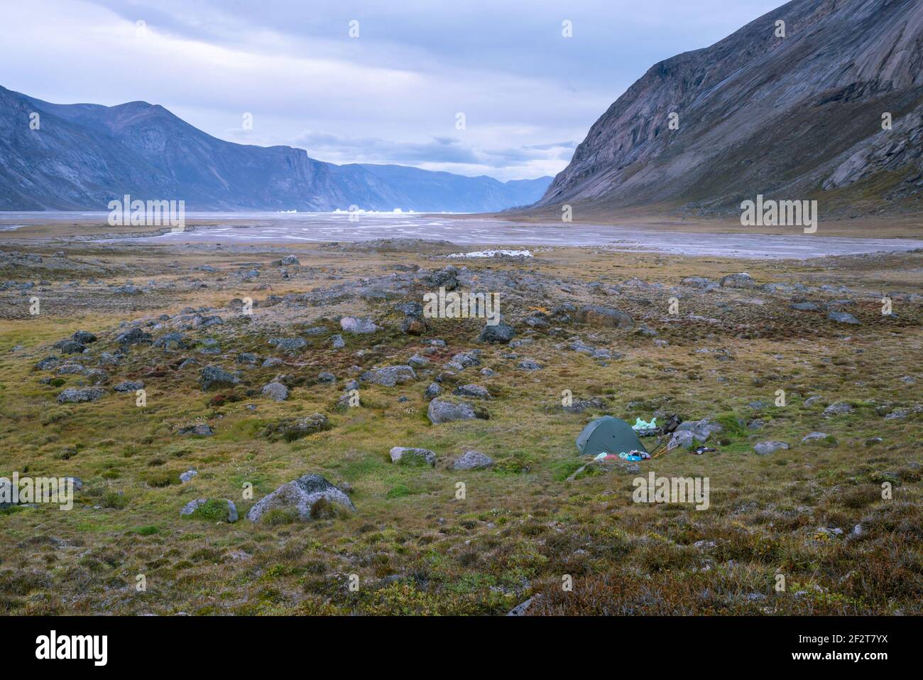 Tente dans l'ombre de la vallée arctique reculée avec icebergs flottant dans le fjord loin. Soirée froide au col Akshayuk, île de Baffin, Canada. Banque D'Images