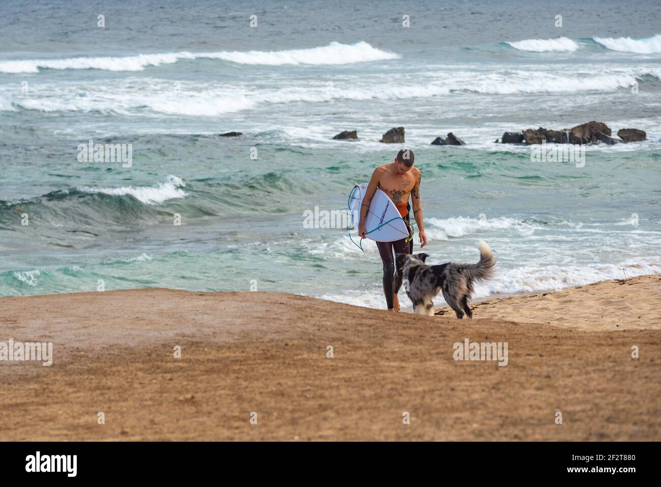 Homme sortant de l'océan près de la plage de Famara à Lanzarote avec planche de surf sous son bras. Son chien l'attend sur la plage Banque D'Images