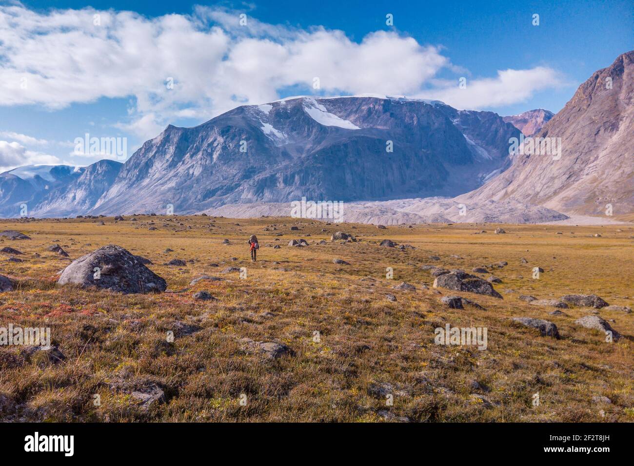 Randonnée pédestre dans la vallée de l'arctique lors d'une journée ensoleillée d'été. Paysage arctique spectaculaire du col Akshayuk, île de Baffin, Canada. Nord sauvage. Banque D'Images