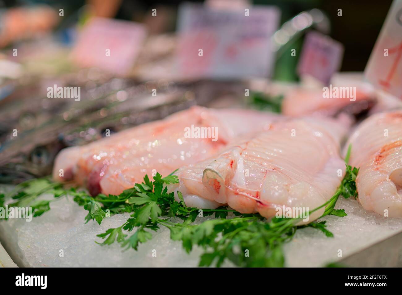 Monkfishon frais sur le comptoir du marché aux poissons. Rana Pescatrice, Coda di rospo. Mise au point sélective. Banque D'Images