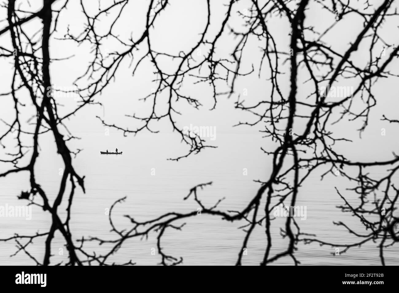 Photo en noir et blanc. Vue sur la silhouette d'un bateau avec des pêcheurs à travers la branche arborée. Photo de silhouette. Paysage de Moody. Lac de Garde, Italie Banque D'Images