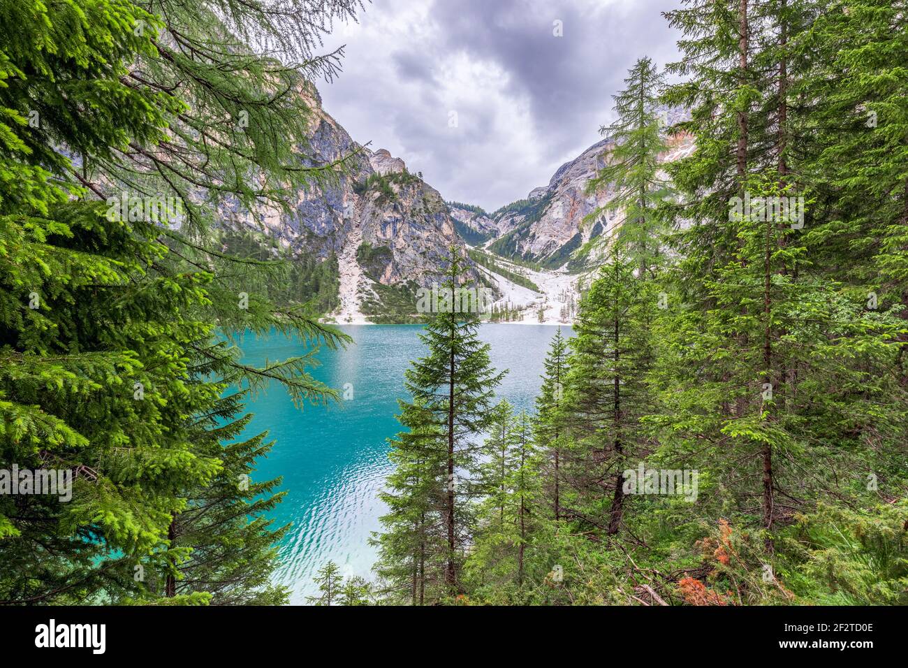 Belle vue à travers la forêt jusqu'au lac Braies dans le Alpes italiennes Banque D'Images