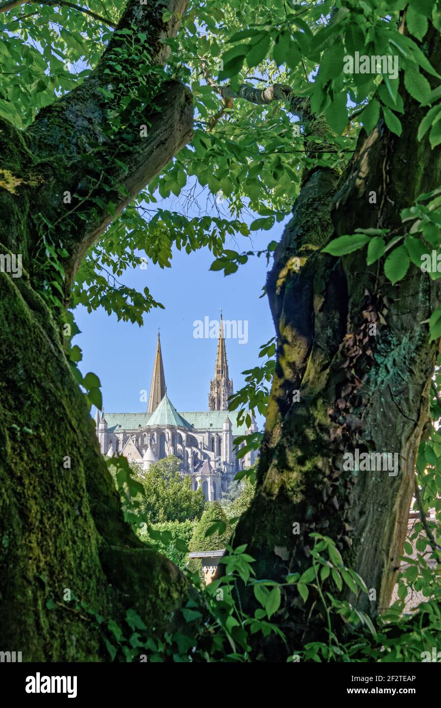 La cathédrale de Chartres Banque D'Images