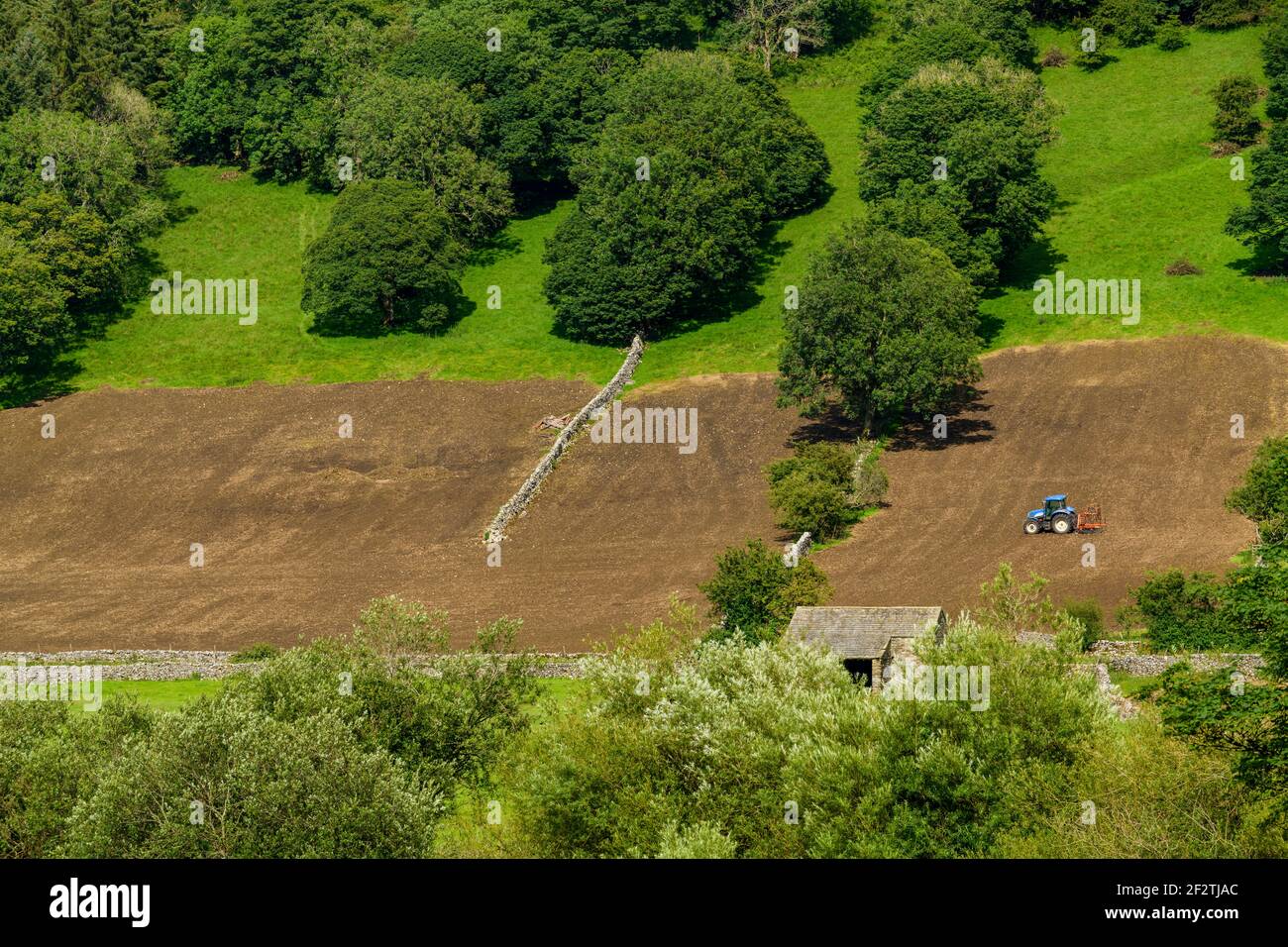 Tracteur travaillant sur de hautes pentes de champs à flanc de coteau escarpés (labourage de terre hereuse pour l'ensemencement) - Wharfe Valley, North Yorkshire, Angleterre, Royaume-Uni. Banque D'Images