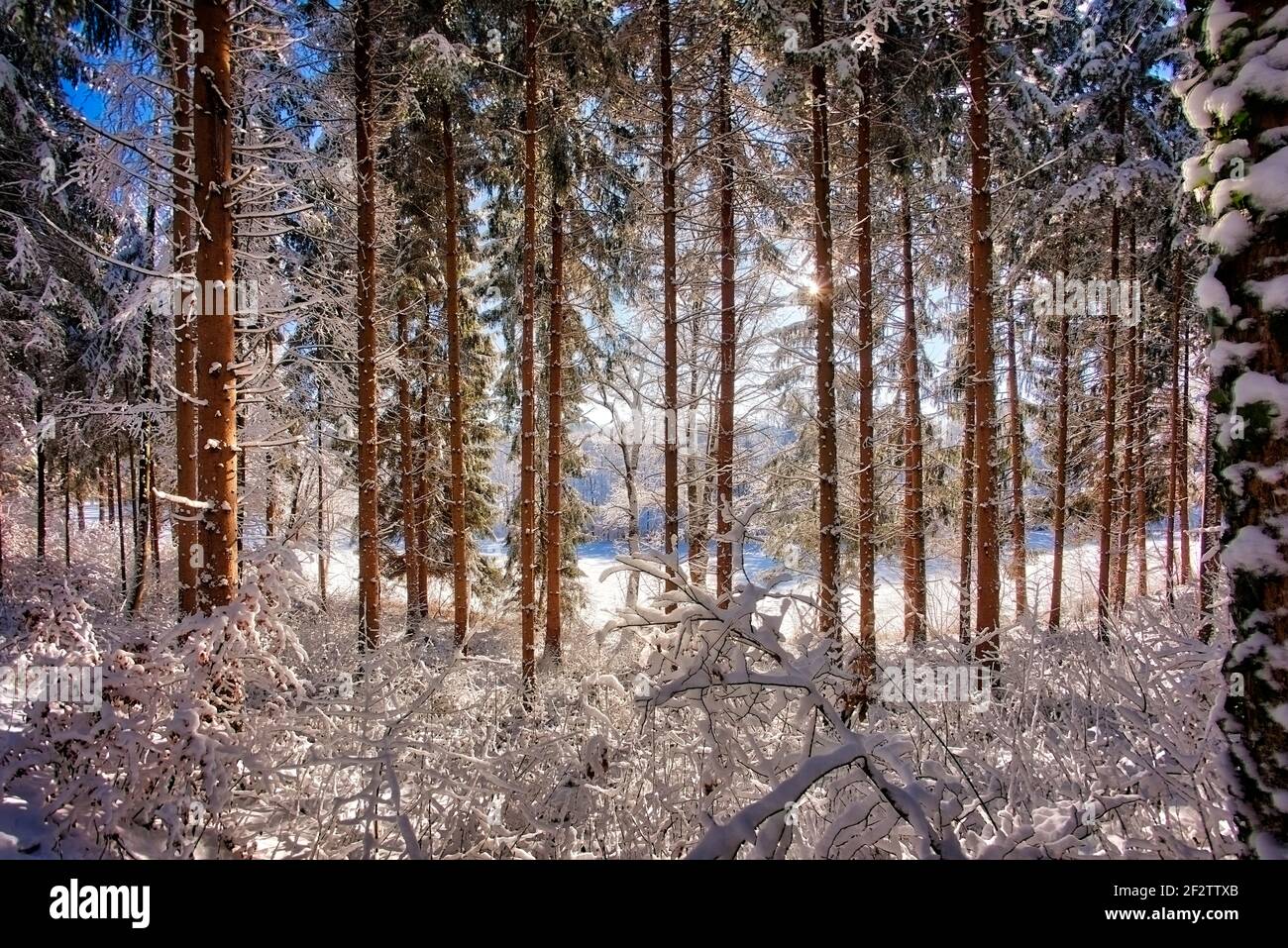 DE - BAVIÈRE: Scène d'hiver à Buchberg près de Bad Toelz (HDR-image) Banque D'Images