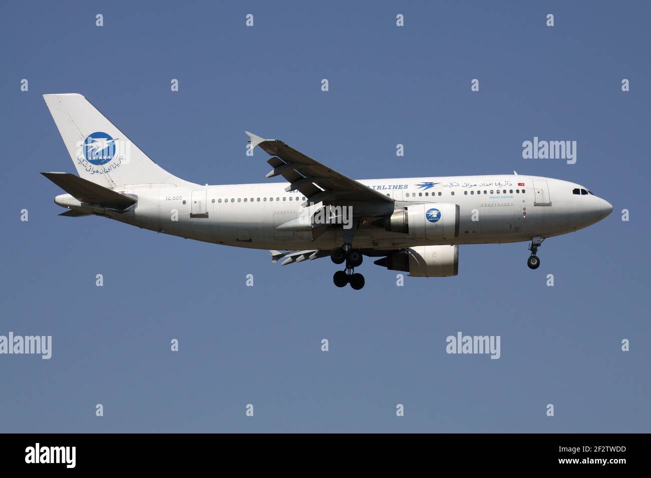 Ariana afghan Airlines Airbus A310-300 avec enregistrement TC-SGC en finale pour la piste 07R de l'aéroport de Francfort. Banque D'Images