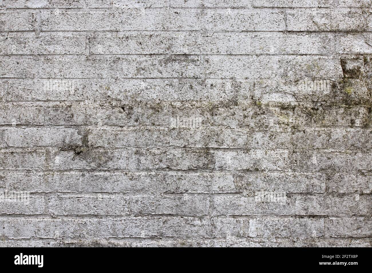 Arrière-plan mur de briques abîmé avec plâtrage blanc Banque D'Images