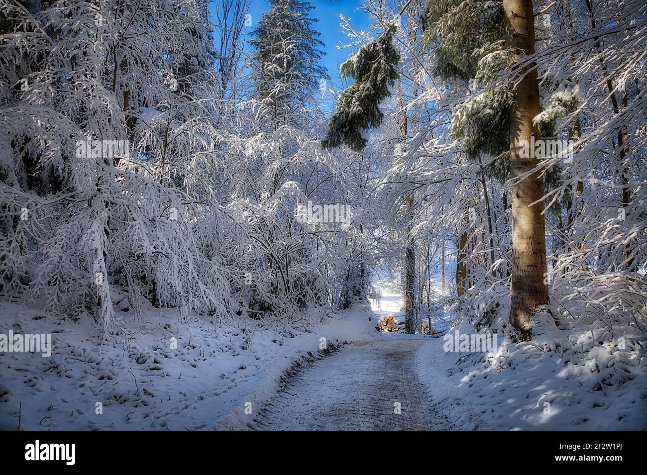 DE - BAVIÈRE: Scène d'hiver à Buchberg près de Bad Toelz (HDR-image) Banque D'Images