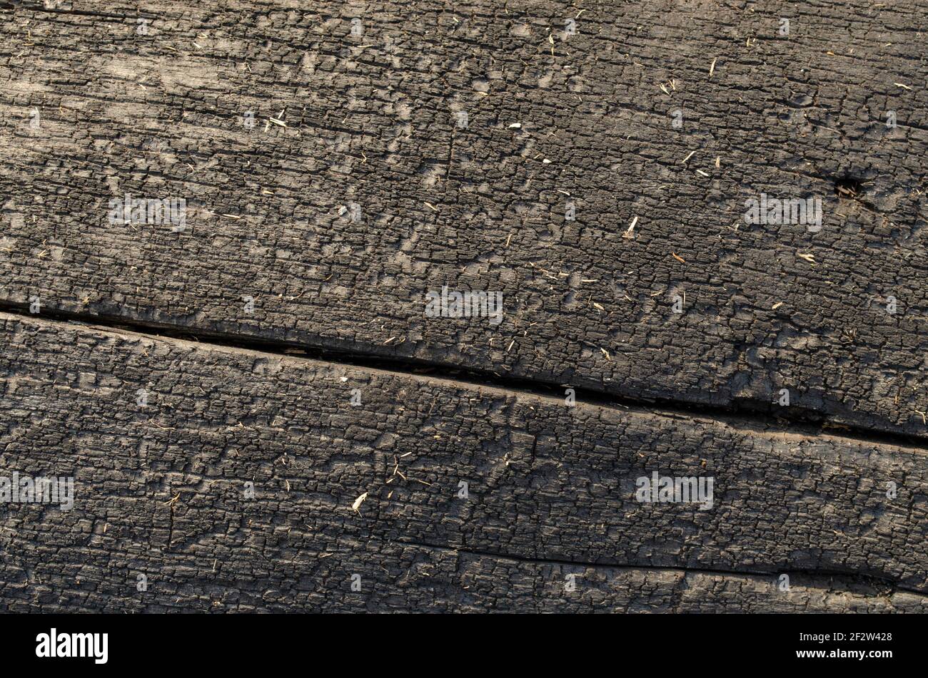Texture d'arrière-plan en bois charré. Arrière-plan abstrait noir. Banque D'Images