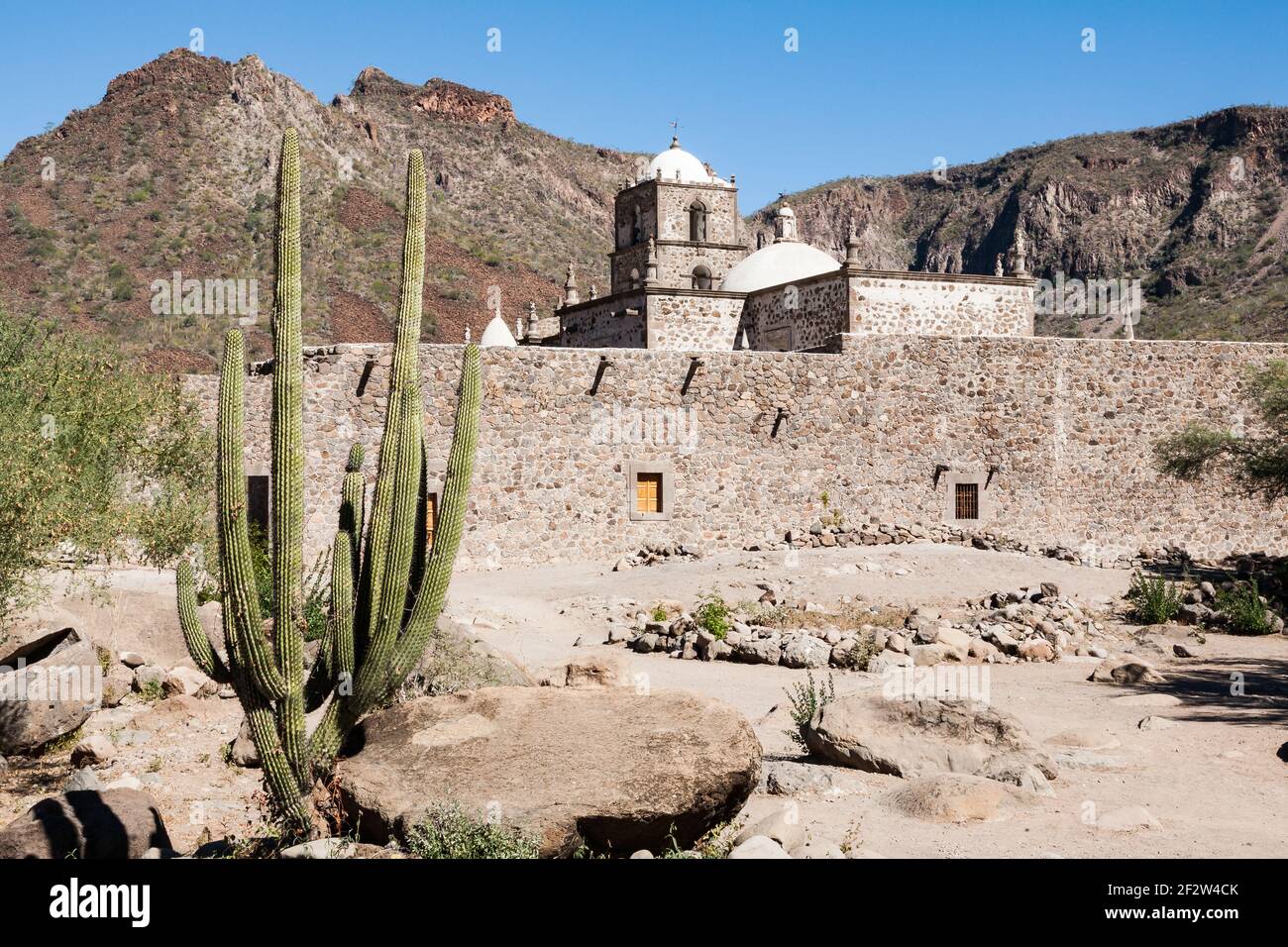 Mission église Mision de San Francisco Javier de Vigge Biaundo avec cardon cactus, Baja California sur, Mexique Banque D'Images