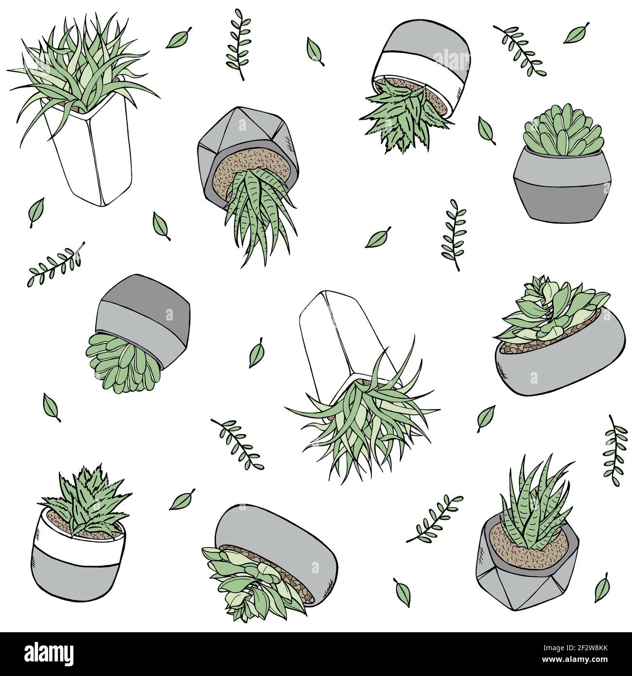 Illustration de style Doodle à motif botanique sans couture au format vectoriel. Plantes dessinées à la main dans des pots Illustration de Vecteur