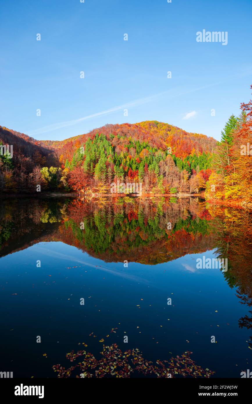Paysage d'automne près du lac Banque D'Images