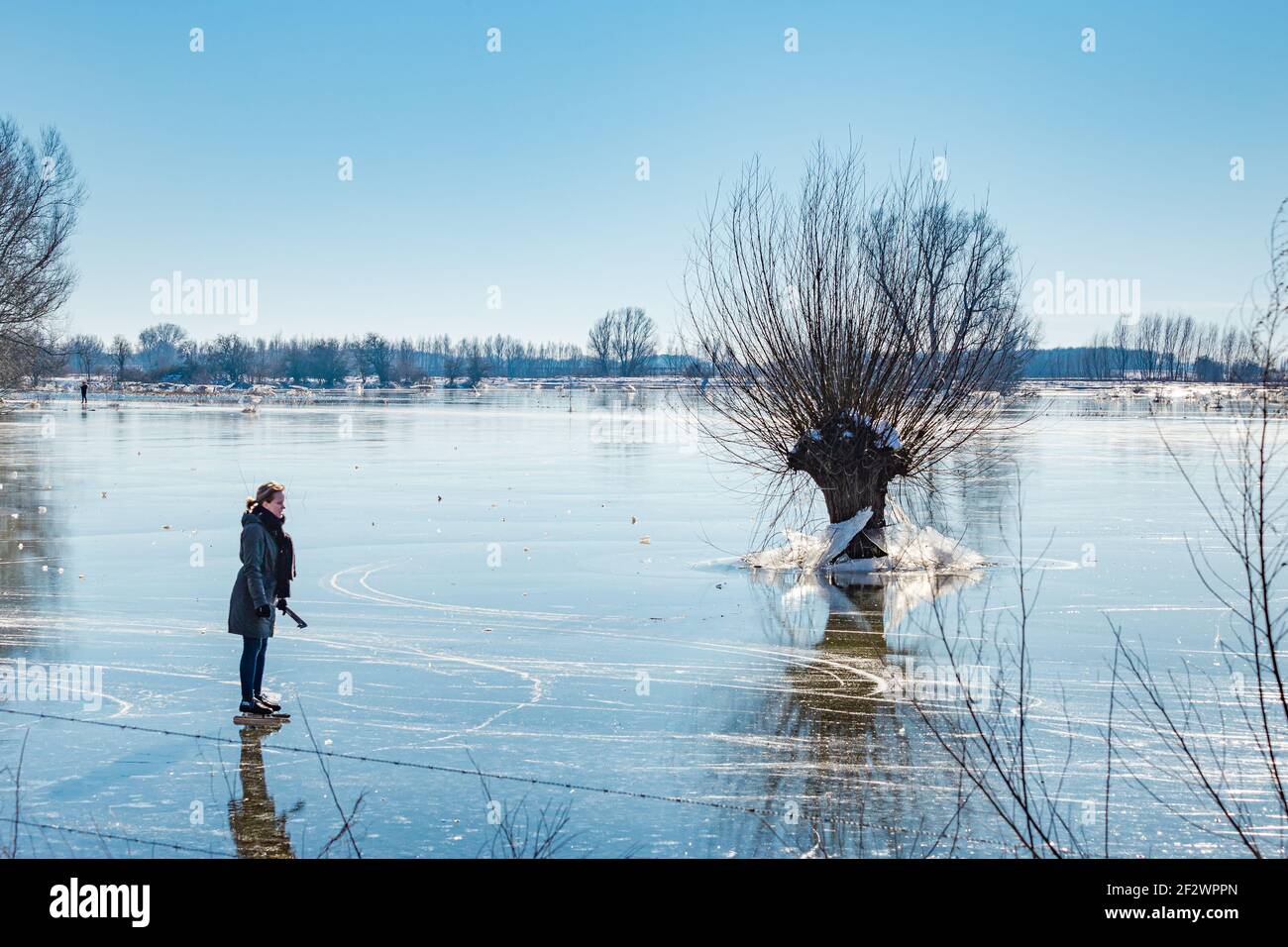 Plaines inondables gelées aux pays-Bas pendant l'hiver Banque D'Images