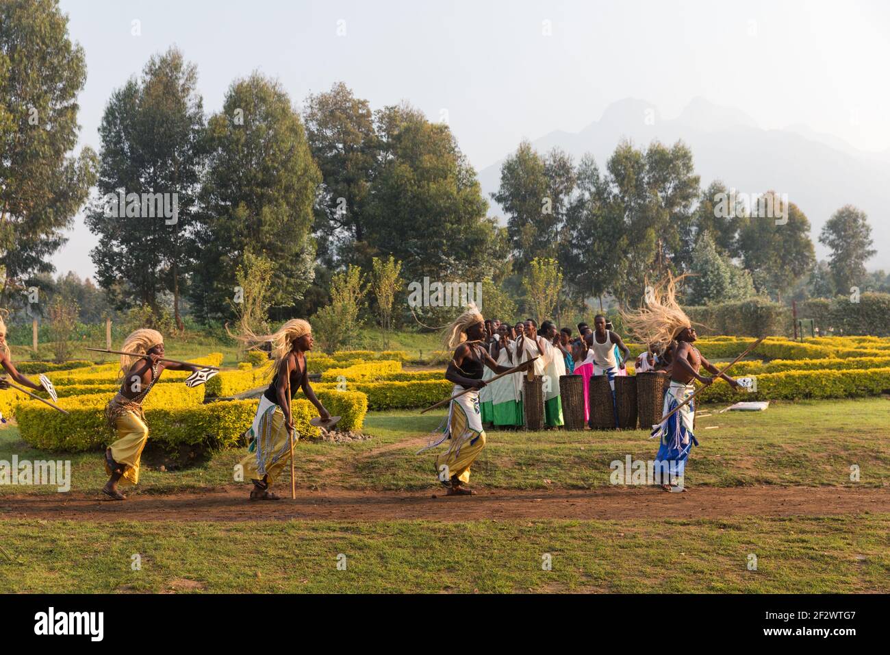 Des danseurs locaux dansent de la danse traditionnelle au quartier général de Kinigi, dans le parc national des volcans. Banque D'Images