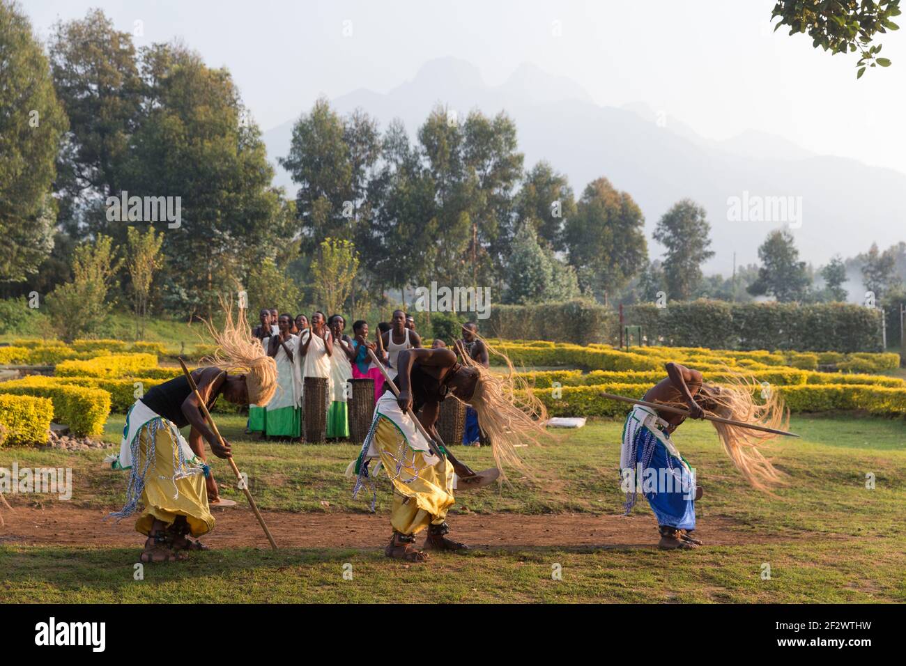 Des danseurs locaux dansent de la danse traditionnelle au quartier général de Kinigi, dans le parc national des volcans. Banque D'Images