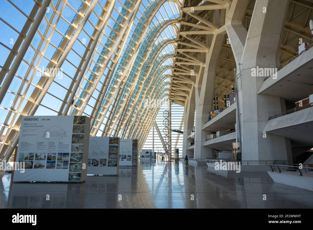 Salle vide dans le Museu de les Ciencies à Valence. Le musée présente une exposition permanente sur le bâtiment du futuriste Ciutat de les arts Banque D'Images