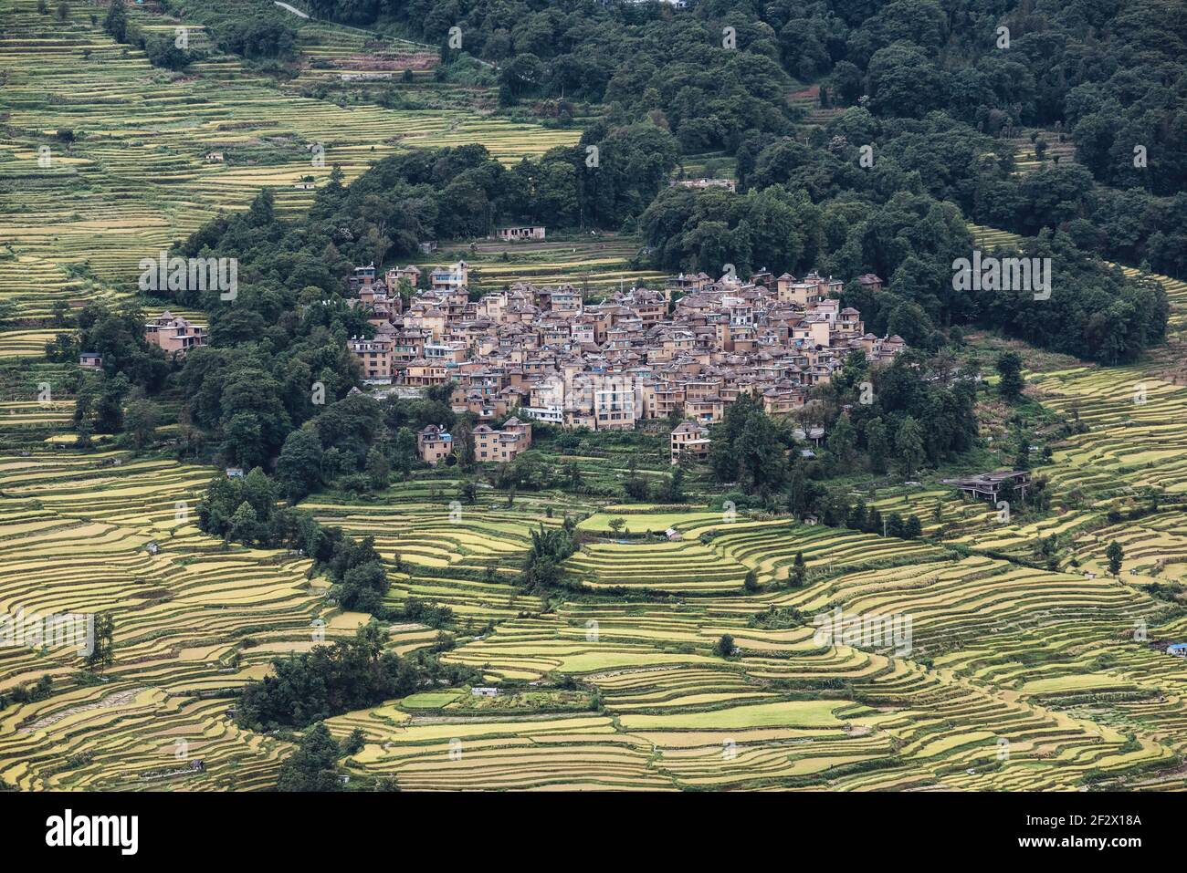 Vue aérienne de la scène des champs de riz à Yuanyang Terrasse panoramique Banque D'Images