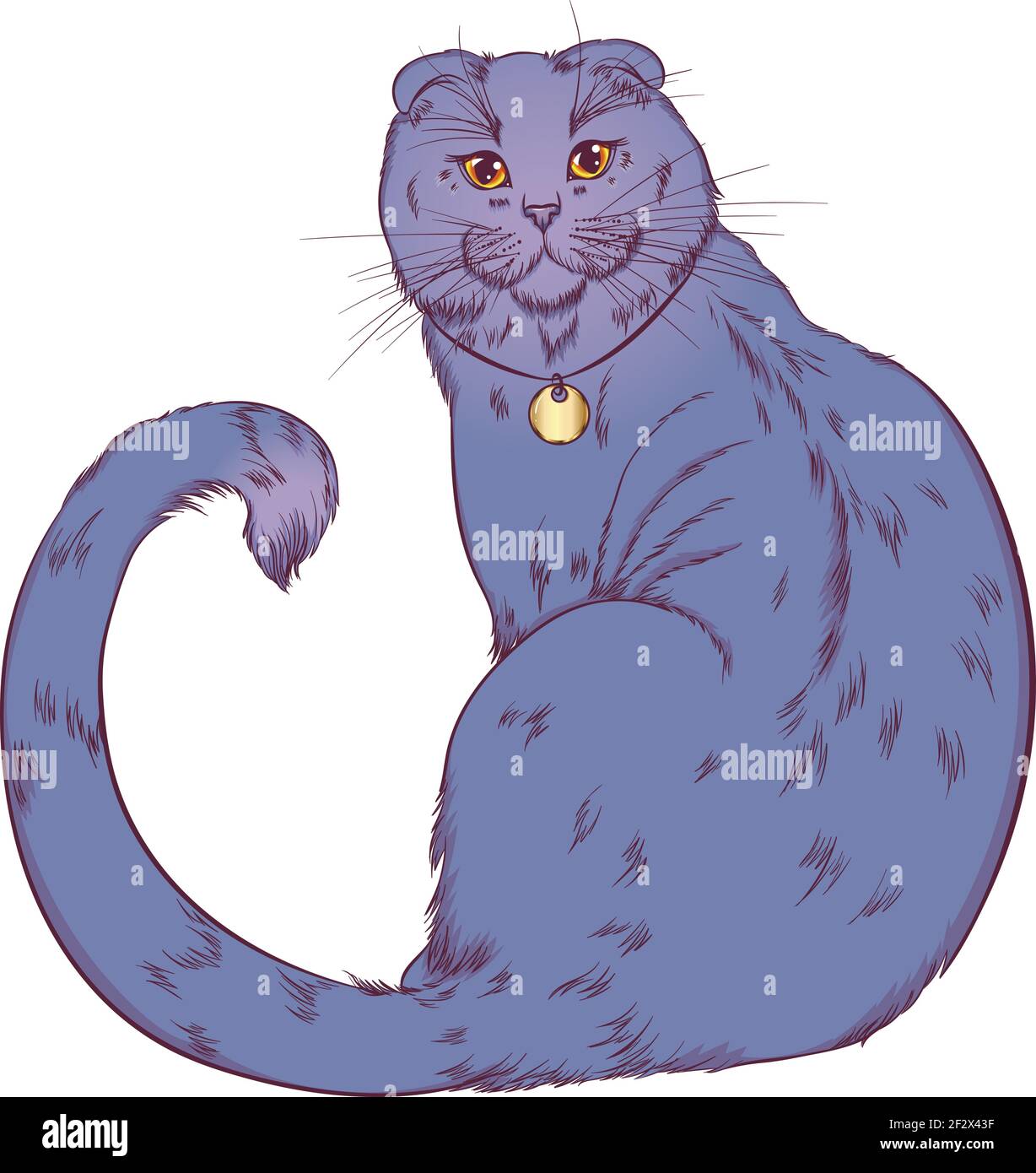 Chat écossais de pliage assis Illustration de Vecteur