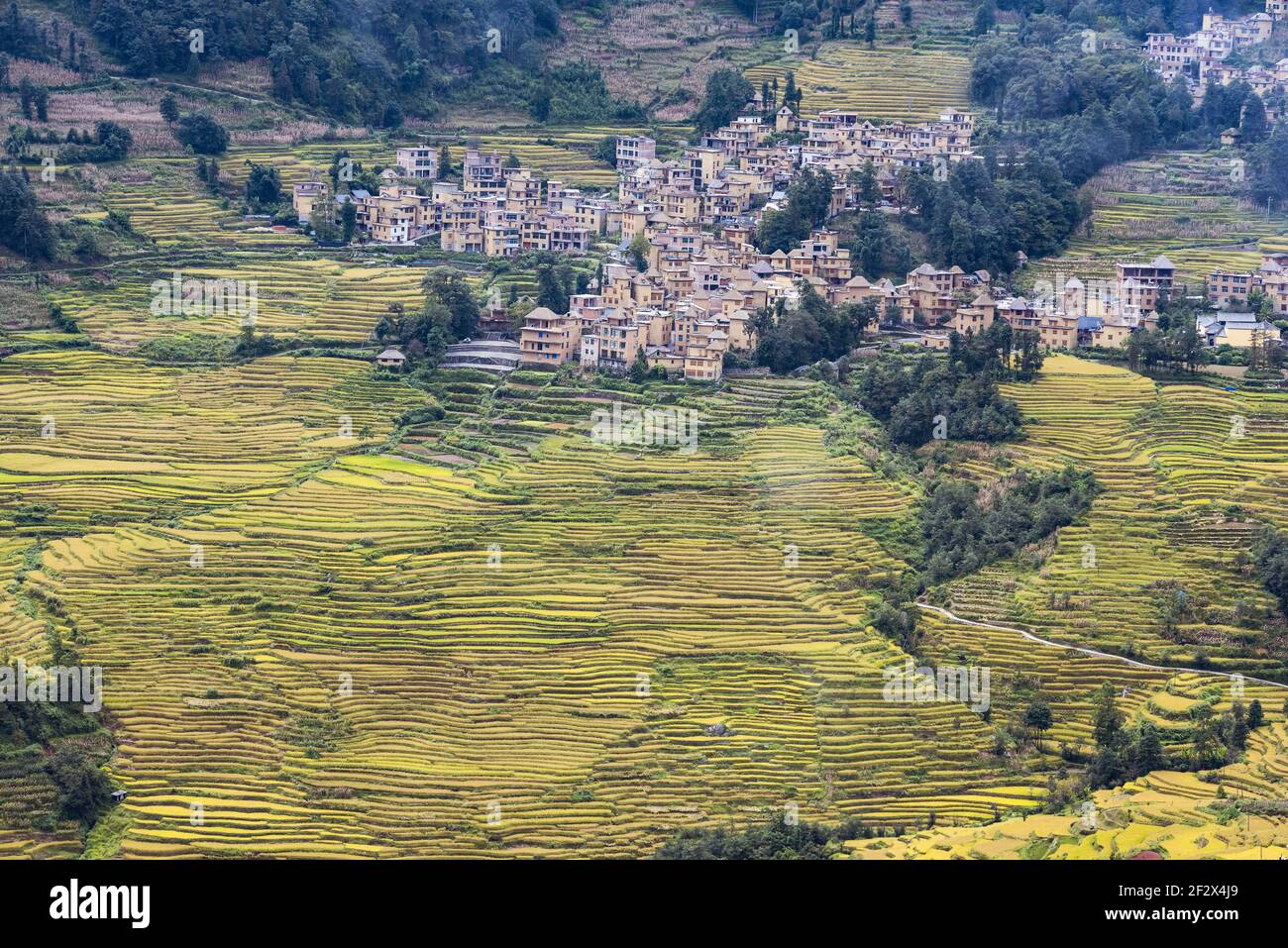 Vue aérienne de la scène des champs de riz à Yuanyang Terrasse panoramique Banque D'Images