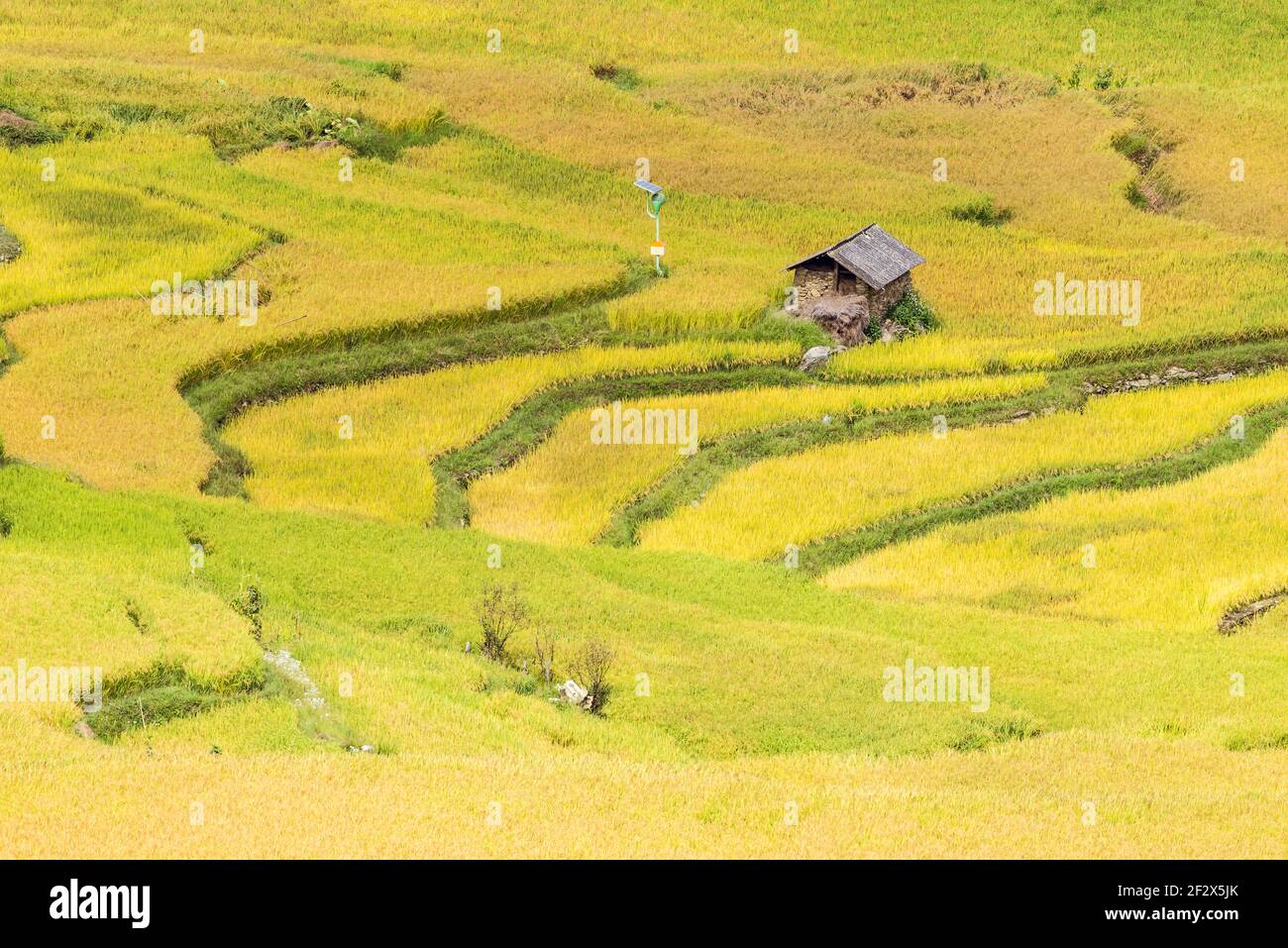 Vue aérienne de la scène des champs de riz à Yuanyang Terrasse panoramique Banque D'Images