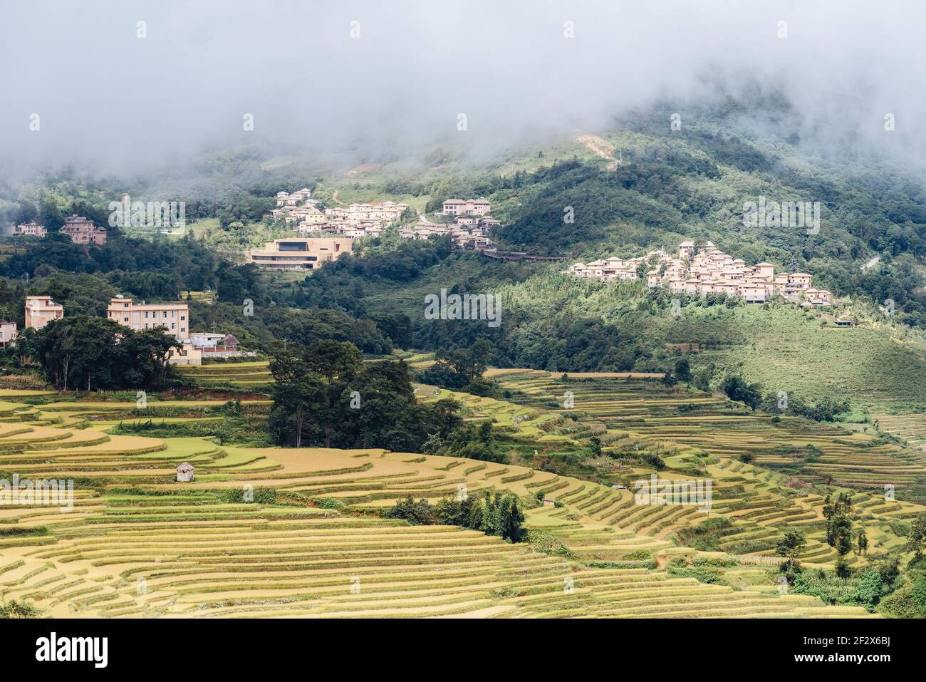 Vue aérienne de la scène des champs de riz à Yuanyang Terrasse panoramique Banque D'Images