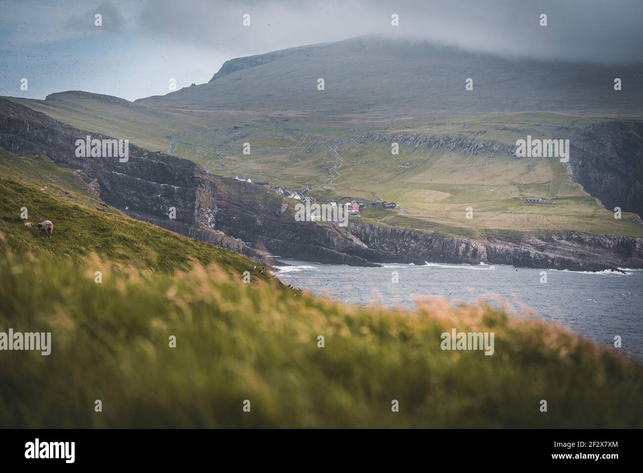 Vue panoramique sur Mykines lors d'une journée nuageuse à Faroe Îles Banque D'Images