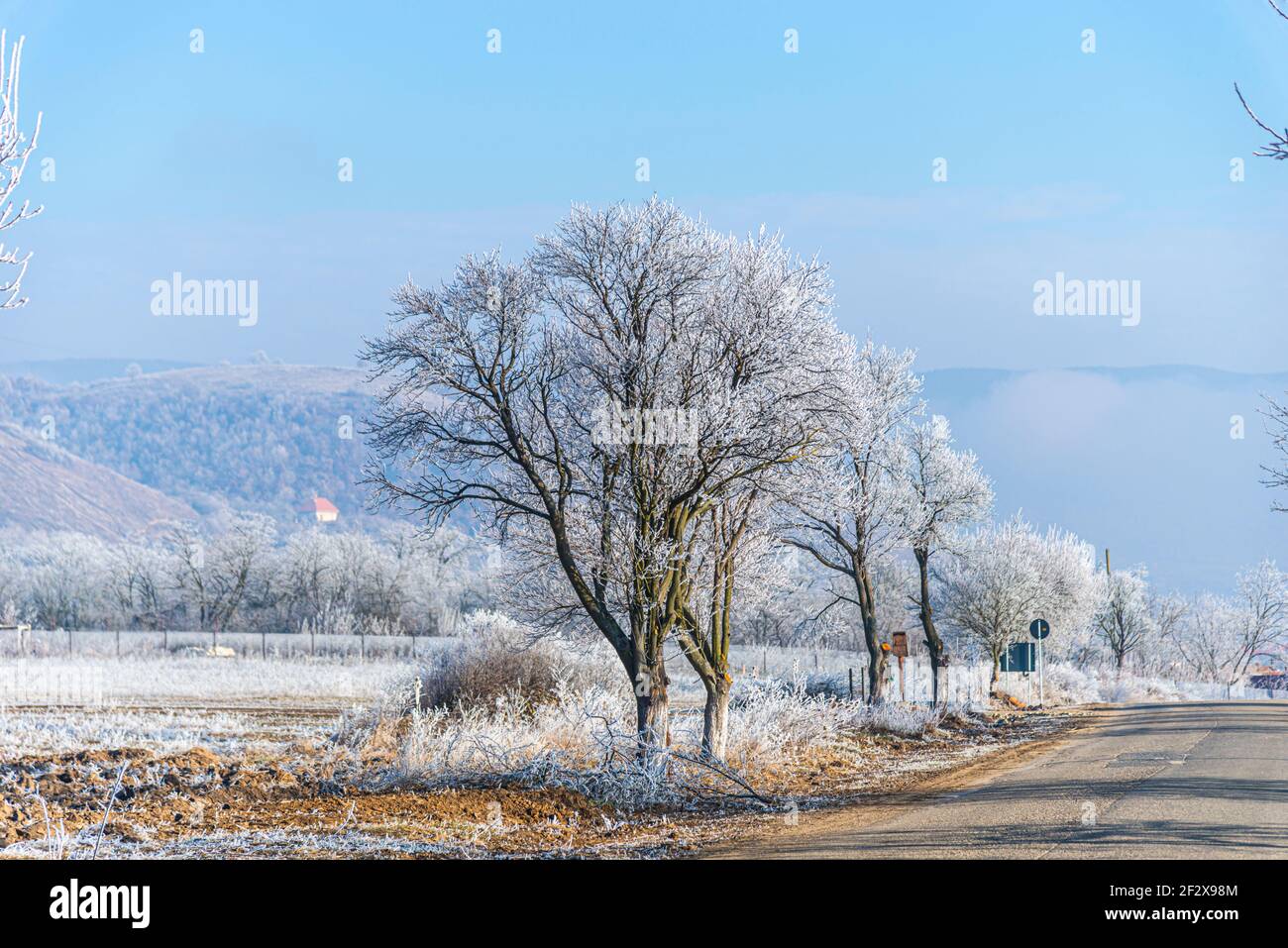 Paysage d'hiver avec une rime étonnante sur l'arbre Banque D'Images