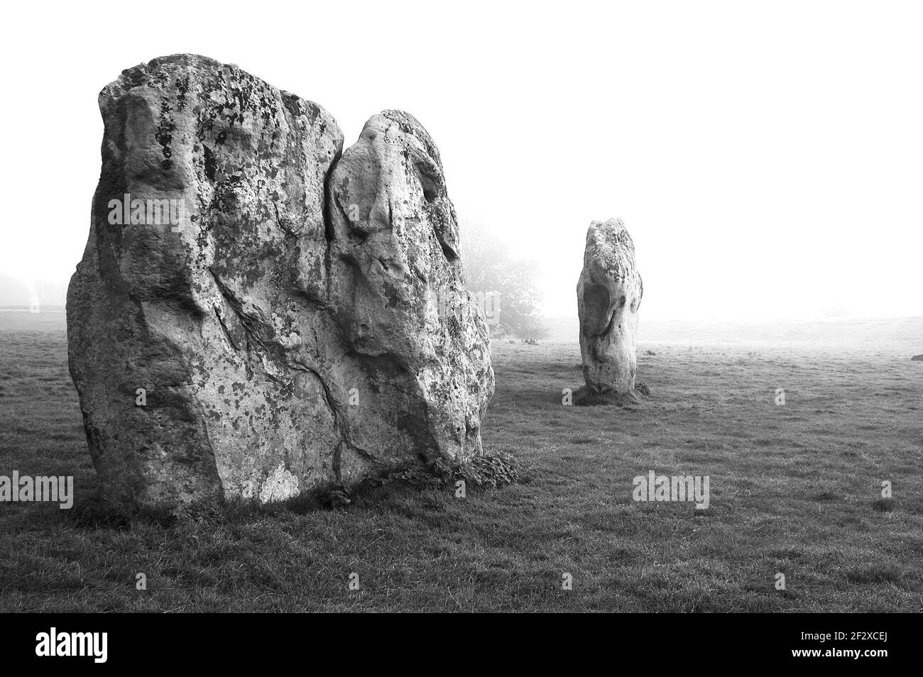 Une image prise le matin de la brume montrant deux de Les pierres anciennes de l'Avebury Wiltshire Banque D'Images