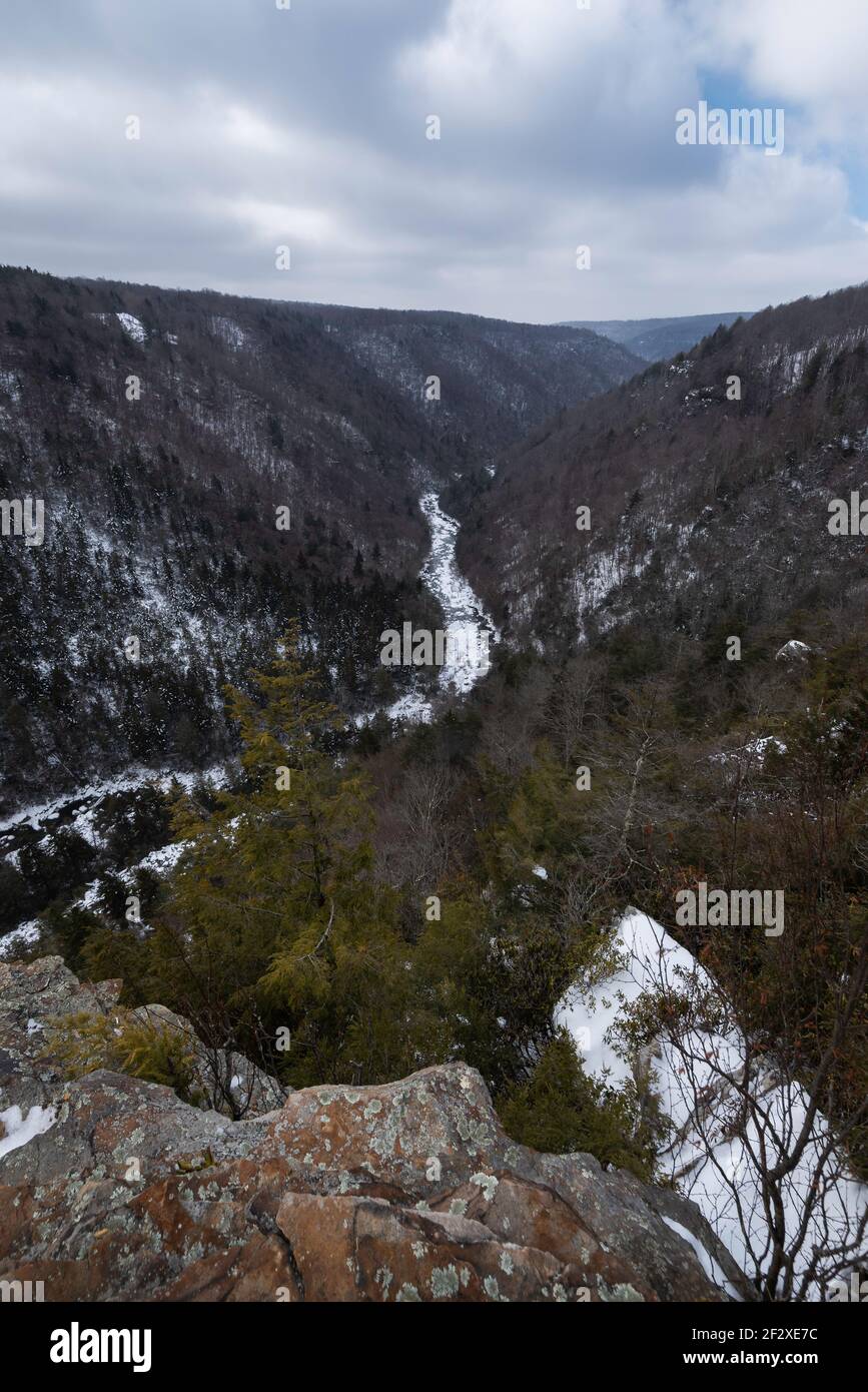 Une rivière Blackwater gelée dans le canyon Blackwater de Davis, en Virginie-Occidentale. Banque D'Images