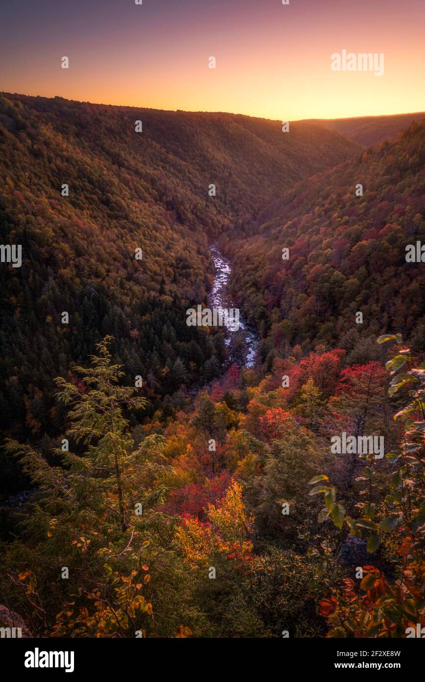 Belle lueur d'automne le long du Blackwater Canyon en Virginie occidentale. Banque D'Images