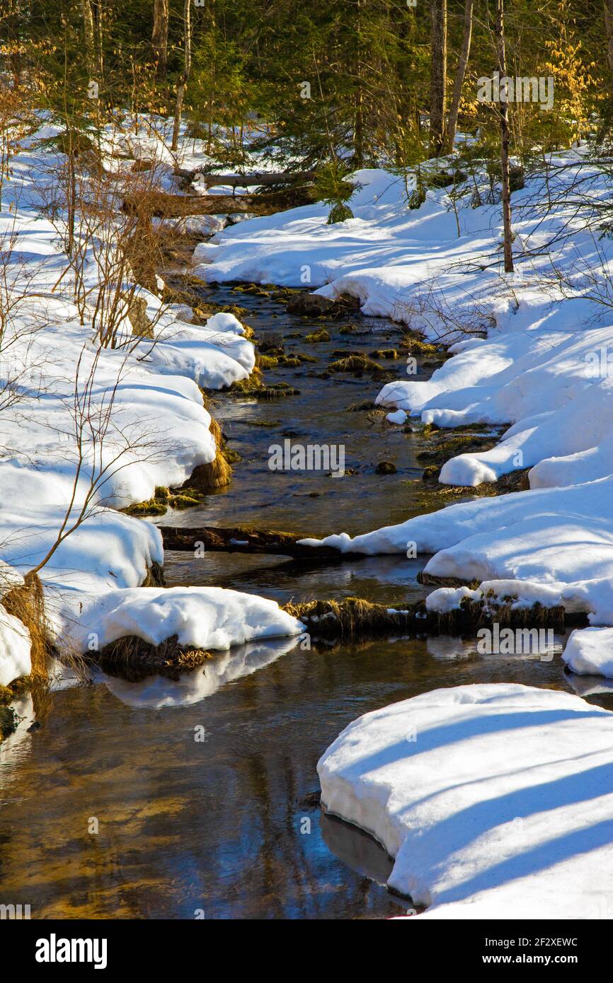 Snow Shanty Run est l'une des six anses du lac Land promis qui est l'eau de tête de la branche est du ruisseau Wallenpack, un affluent du Delawar Banque D'Images