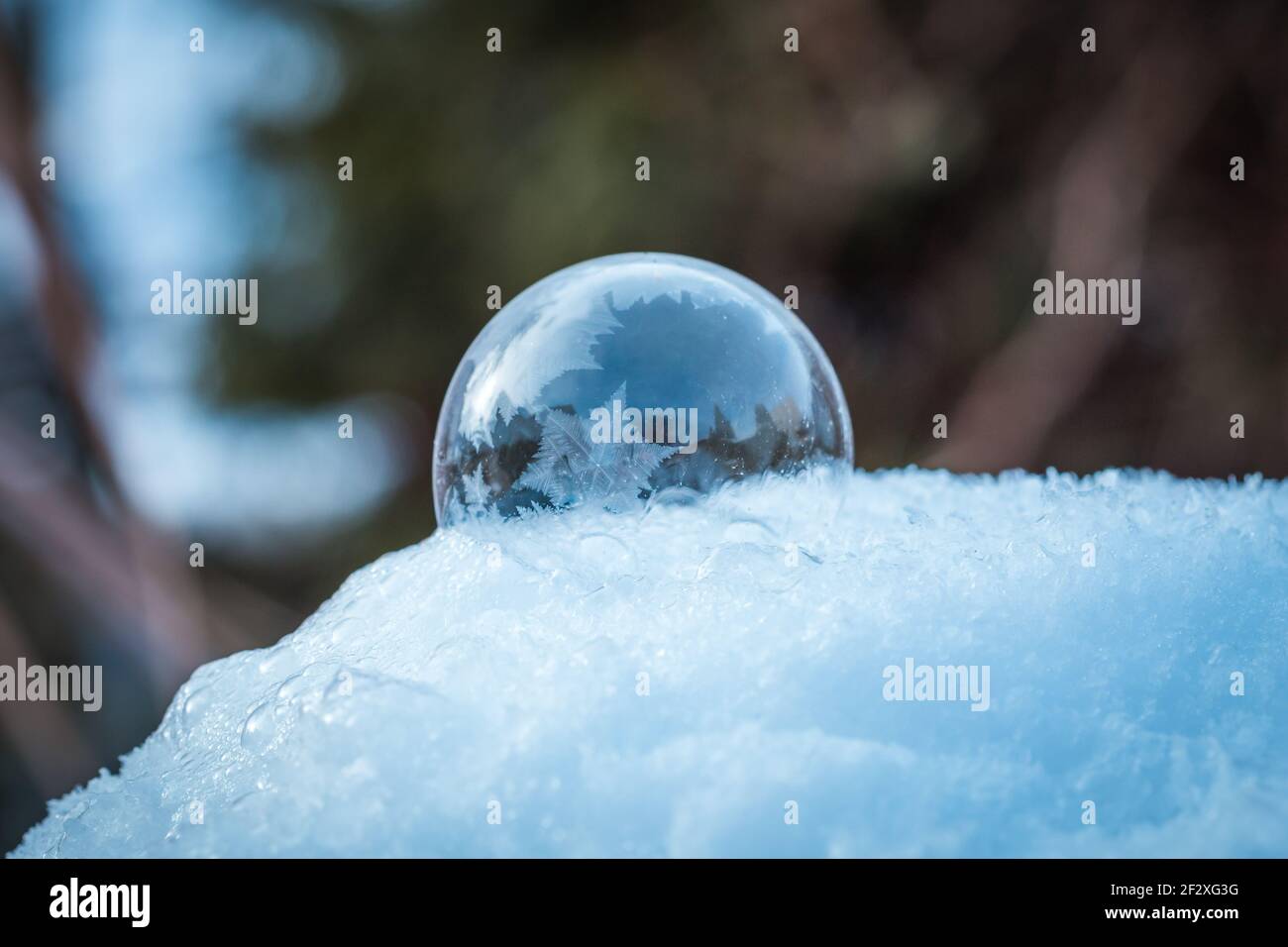 Bulle de savon surgelé avec un joli motif sur la neige gros plan sur un arrière-plan flou Banque D'Images