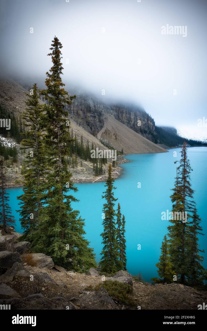 Une matinée de mauvaise humeur au superbe lac Moraine dans le parc national Banff. Le brouillard a obscurci les sommets imposants mais la couleur du lac était phénoménale. Banque D'Images