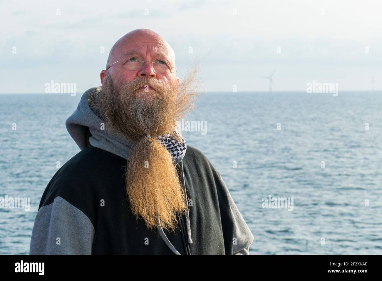 Mühlenbach mit Bart STEM am Meer und blickt nachdenklich Banque D'Images