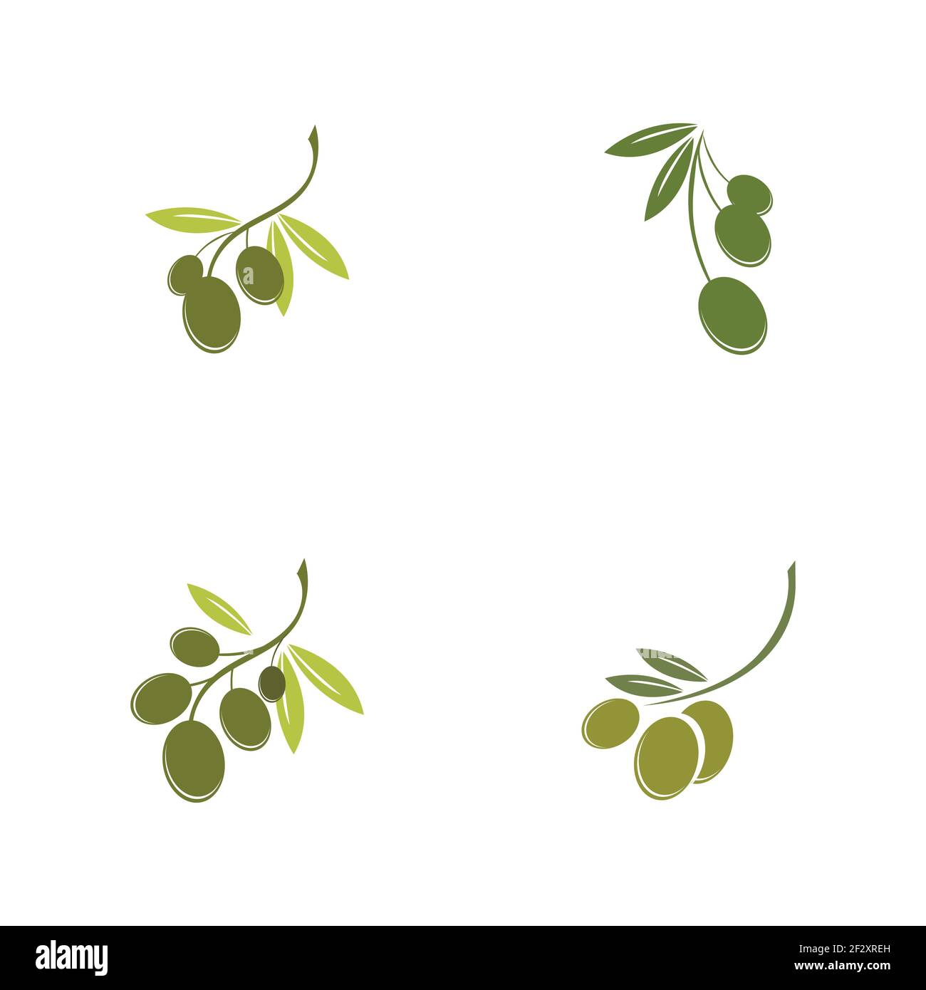 Jeu de modèles de logo Olive dessin d'illustration d'icône vectorielle Illustration de Vecteur