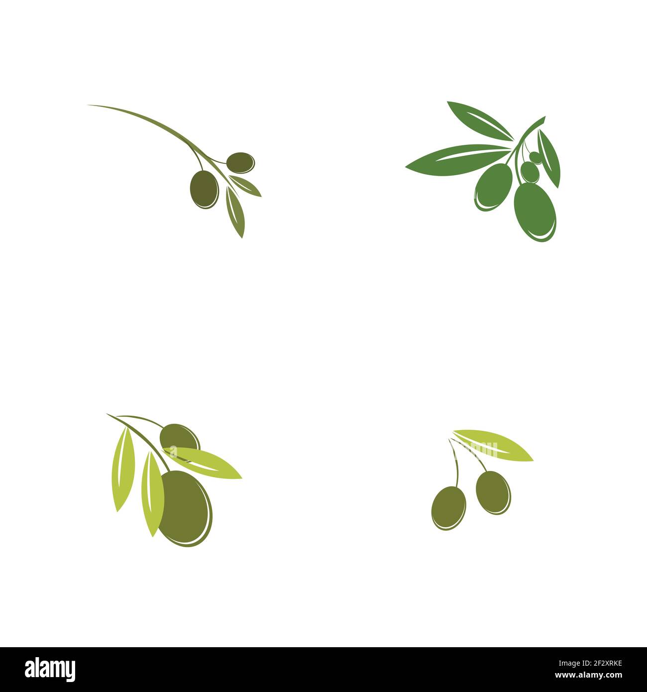 Jeu de modèles de logo Olive dessin d'illustration d'icône vectorielle Illustration de Vecteur