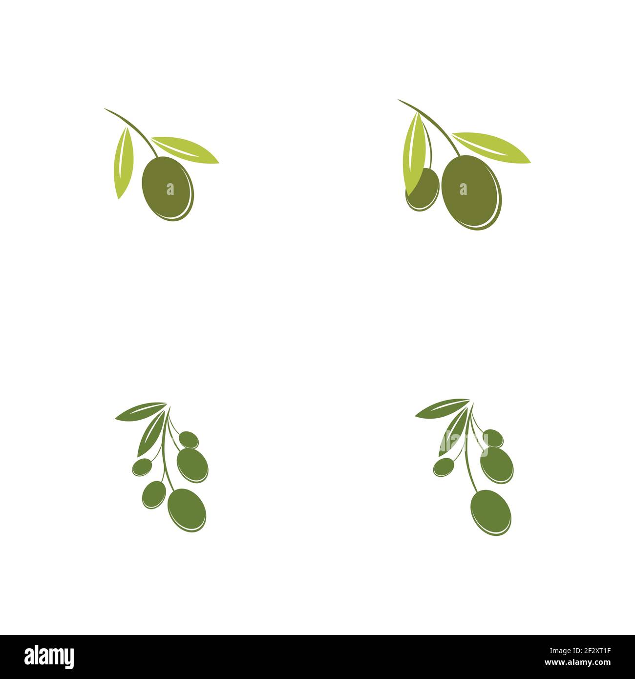 Jeu de modèles de logo Olive dessin d'illustration d'icône vectorielle Illustration de Vecteur