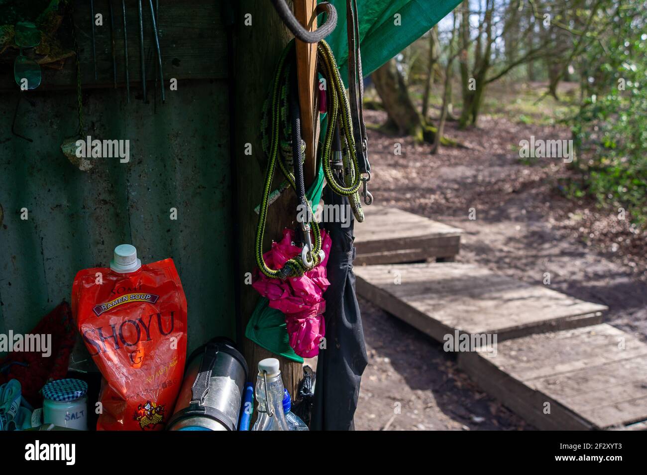 Aylesbury Vale, Buckinghamshire, Royaume-Uni. 12 mars 2021. Les militants anti HS2 poursuivent leur combat pour sauver Jones Hill Wood des tronçonneuses HS2. Les chauves-souris Barbastelle très rares sont connues pour rôtir dans les bois, cependant, HS2 se prépare à détruire une grande partie de Jones Hill Wood pour la construction d'un viaduc dans le cadre de la controversée liaison High Speed Rail de Londres à Birmingham. Une équipe de militants anti HS2 vit dans une partie des terres boisées pour essayer d'arrêter HS2 et leur destruction des habitats fauniques. Crédit : Maureen McLean/Alay Banque D'Images