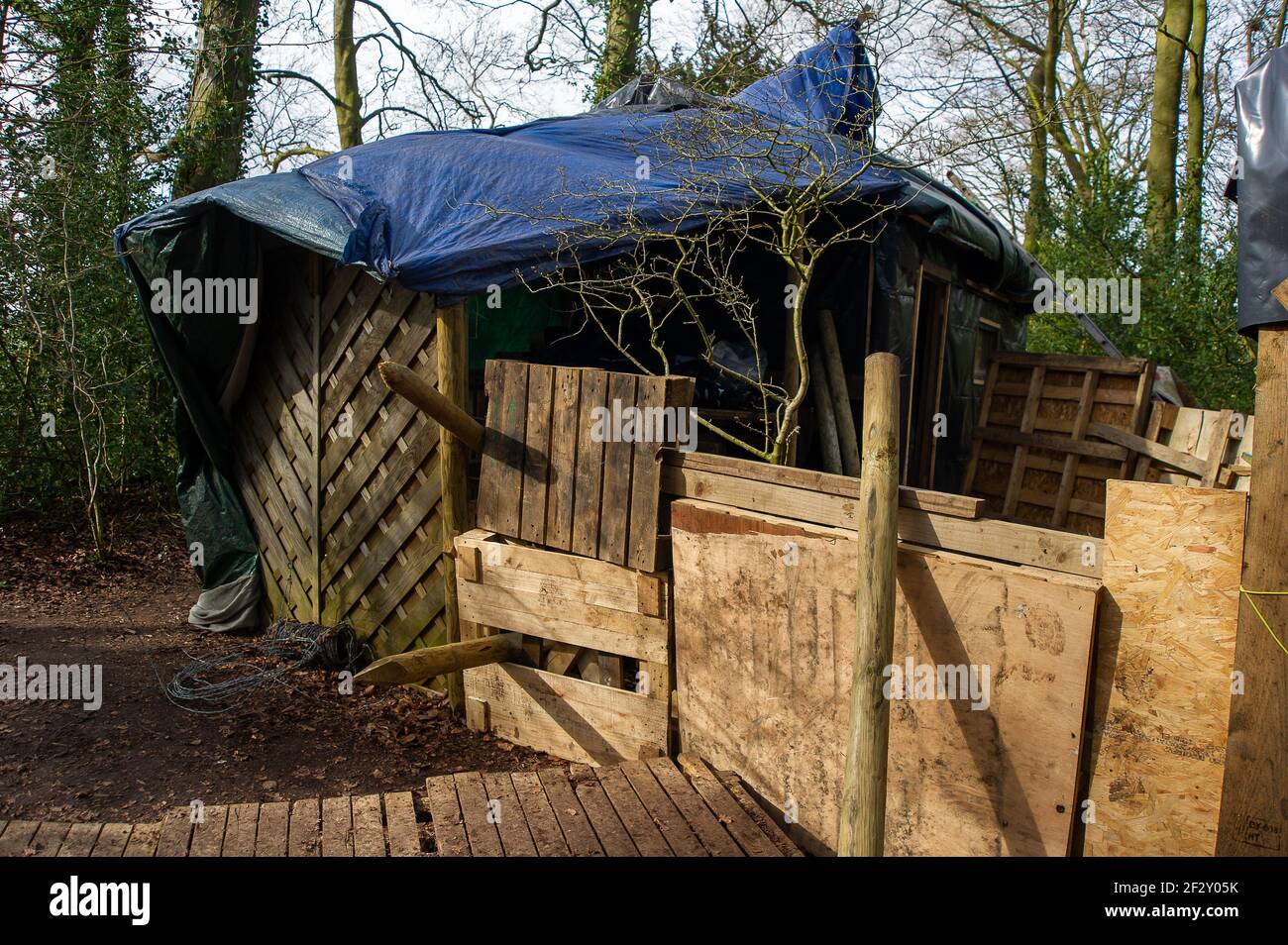 Aylesbury Vale, Buckinghamshire, Royaume-Uni. 12 mars 2021. Protéster les maisons dans le bois. Les militants anti HS2 poursuivent leur combat pour sauver Jones Hill Wood des tronçonneuses HS2. Les chauves-souris Barbastelle très rares sont connues pour rôtir dans les bois, cependant, HS2 se prépare à détruire une grande partie de Jones Hill Wood pour la construction d'un viaduc dans le cadre de la controversée liaison High Speed Rail de Londres à Birmingham. Une équipe de militants anti HS2 vit dans une partie des terres boisées pour essayer d'arrêter HS2 et leur destruction des habitats fauniques. Crédit : Maureen McLean/Alay Banque D'Images