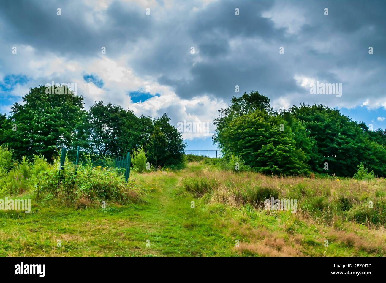 Ciel spectaculaire au-dessus des arbres et de l'herbe dans Coneygree Wood, vallée de Gleadless, Sheffield. Banque D'Images