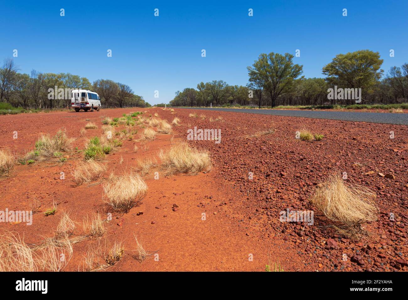 Touffes d'herbe jaune dans la poussière rouge dans l'Outback le long de l'aventure Way près de Cunnamulla, Queensland, Queensland, Australie Banque D'Images