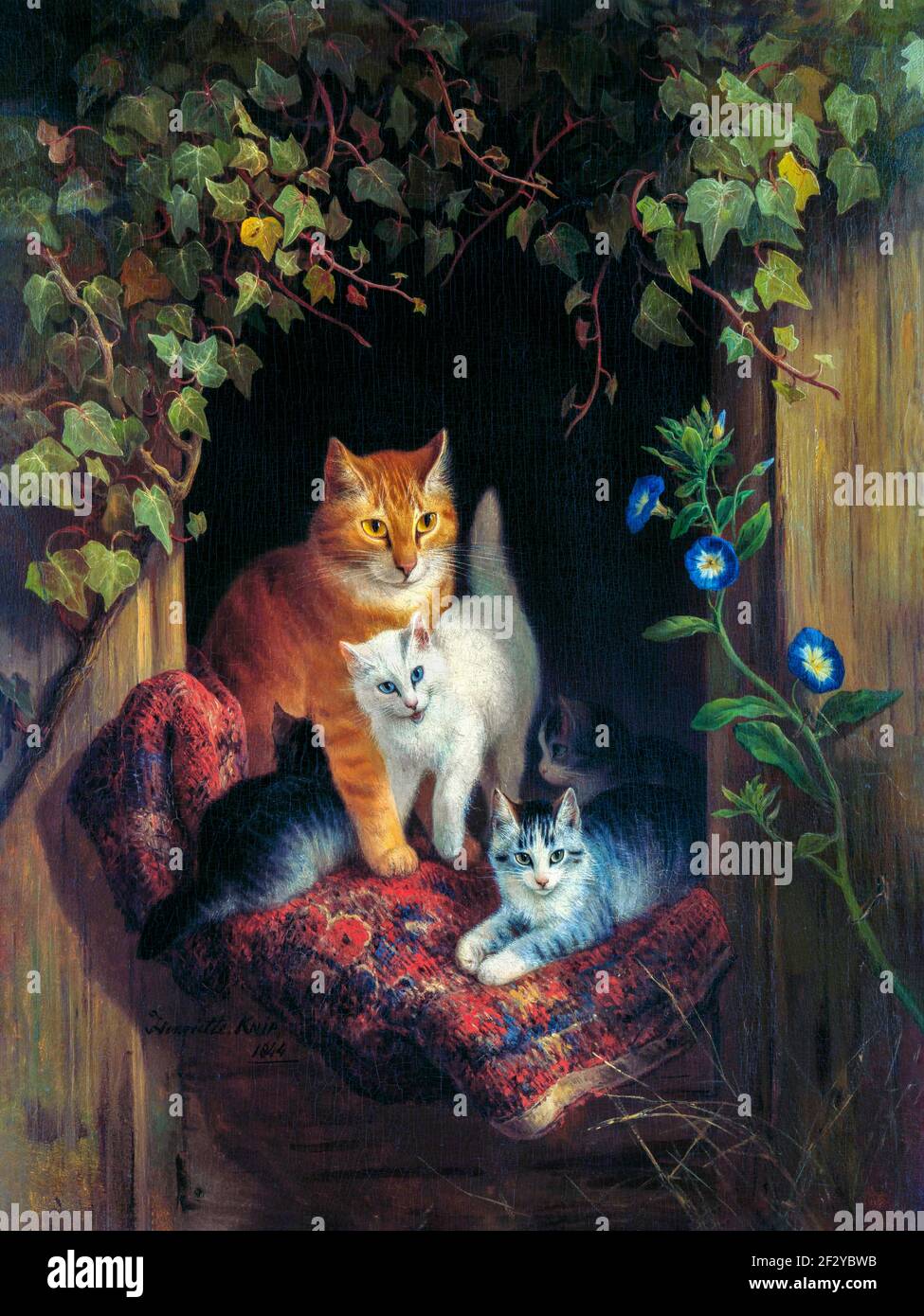 Dans la fenêtre d'un hangar en bois, un chat avec quatre petits est assis sur une vieille couverture. Ivy et de l'herbe à poux autour de la fenêtre. Banque D'Images