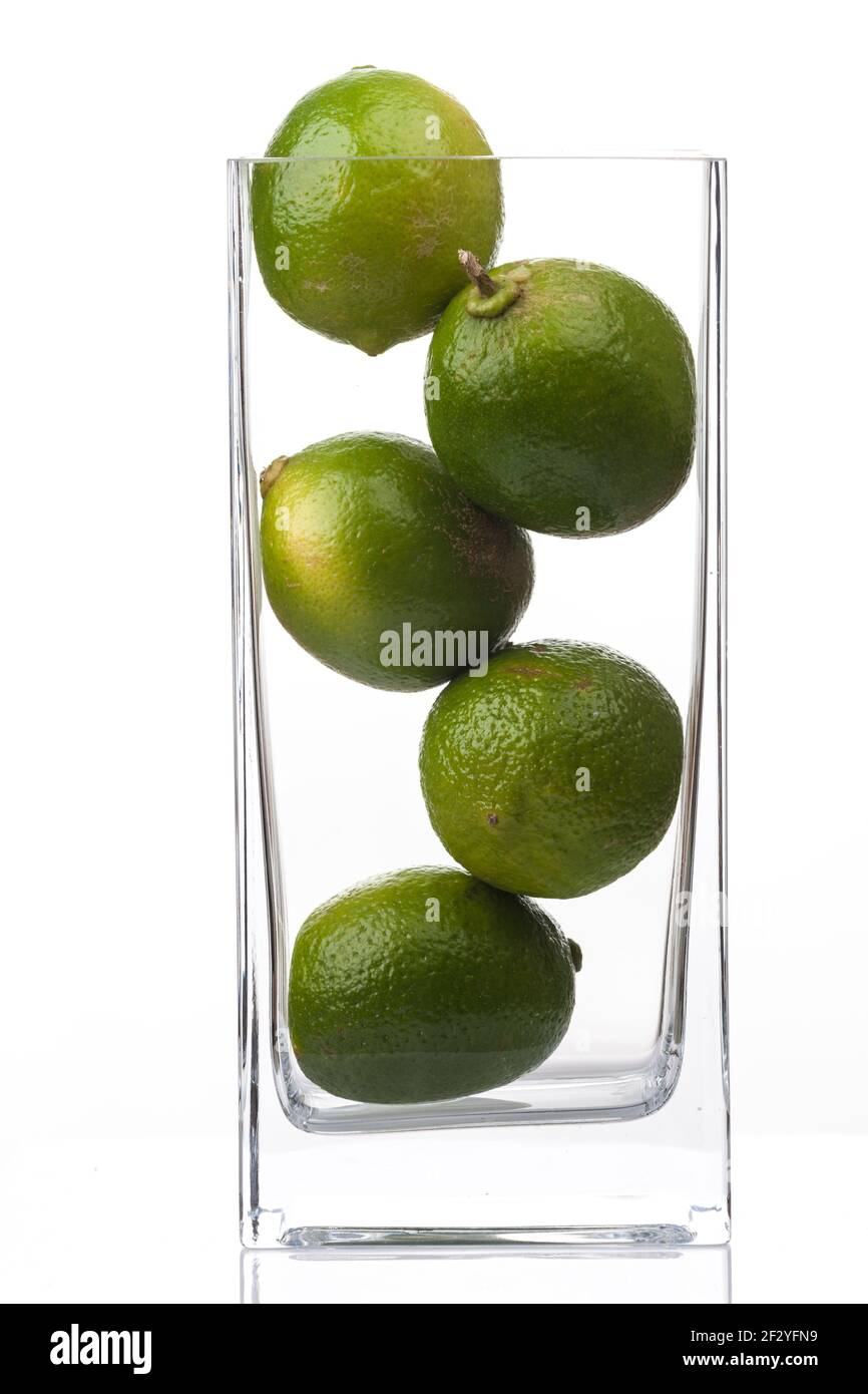 Citron vert, citron vert (Citrus x aurantiifolia) Banque D'Images