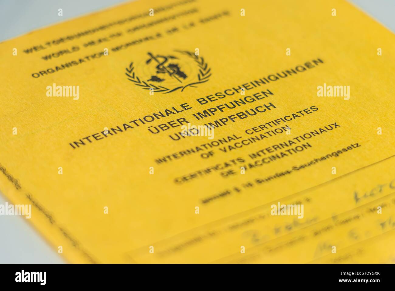 Page couverture de la carte de vaccination internationale de l'Organisation mondiale de la santé. Certificat de vaccination jaune avec preuve de vaccination. Doc de voyage Banque D'Images Page couverture de la carte de vaccination internationale de l'Organisation mondiale de la santé. Certificat de vaccination jaune avec preuve de vaccination. Doc de voyage Banque D'Images